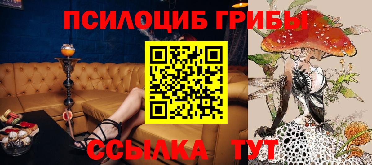 Псилоцибиновые грибы MAGIC MUSHROOMS  Вход с VPN  Сибай  Галлюциногенные грибы Psilocybe 